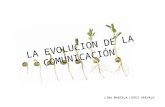 La evolucion de la comunicación