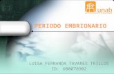 Periodo embrionario mm