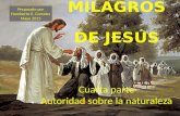 Los milagros de Jesús 4ta parte
