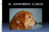 El experimento clínico