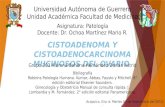 cistoadenoma y cistoadenocarcinoma mucinosos del ovario