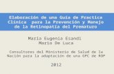 Dra. Maria Eugenia Esandi. Elaboracion de una guia de practica clinica para rop