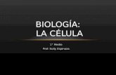 Teoria celular biologia 1° medio