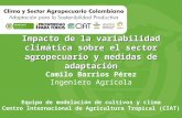 Impacto de la Variabilidad Climática sobre el Sector Agropecuario y Medidas de Adaptación