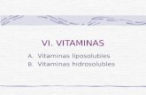 Vi. vitaminas