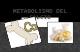 Metabolismo del calcio