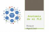 Anatomía de mi PLE Roque Aguilar