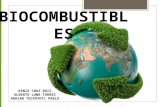 Biocombustibles (2)