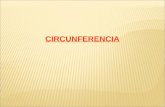 Angulos de la circunferencia