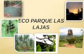 Eco parques  lajas