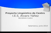PLC IES Álvaro Yáñez