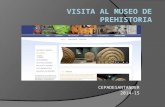 Visita AL MUSEO DE PREHISTORIA