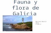 Flora y Fauna de Galicia