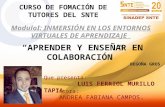 Aprender a enseñar en colaboración Luis Ferriol Murillo Tapia