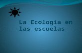 La ecología en las escuelas