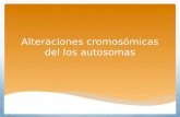 Alteraciones cromosmicas del los autosomas