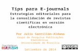 Tips para E-journals: Estrategias Editoriales para la Consolidación de Revistas Científicas en Versión Electrónica