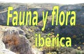 Fauna y flora ibérica