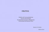 Farmacobotanica frutos clasificación