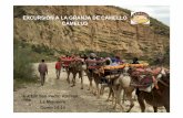 Viaje a la granja de los Camellos