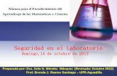 Seguridad en el laboratorio nivel superior-prof. aida n. mendez 12 oct. 2012