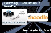 Hosting, dominios & moodle