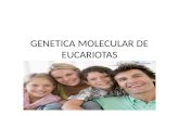 Genetica molecular de eucariotas