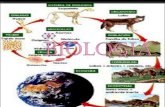 Biologia diapositivas