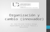 Sesión 4 organización e innovación el la ap