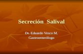 Secrecion salival