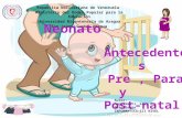 ANTECEDENTES -Pre para y post natal informatica III- Angelica levy