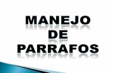 Tema Manejo De Parrafos
