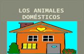 Animales domesticos y de granja