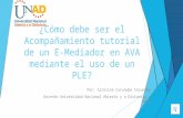 ¿Cómo debe ser el acompañamiento tutorial de un E- Mediador en AVA mediante el uso de un PLE?