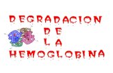 Degradacion de la hemoglobina