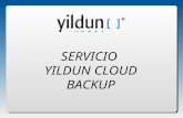Servicio Yildun Cloud Backup