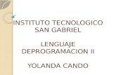 Instituto Tecnologico San Gabriel