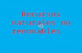 Cuales son los Recursos naturales no renovables y enque consiste cda uno de ellos