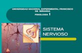 Sistema Nervioso Neurotransmisores 1 (UNEFM)