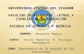 ESCUELA DE BIOLOGIA Y QUIMICA-Magaly Mosquera-Energia
