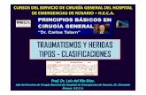 CURSO DE PRINCIPIOS BASICOS EN CIRUGIA, HECA 2015 TIPOS DE HERIDAS, P.A.T.