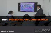 PPT Ricardo Rojas - Conferencia Construcción