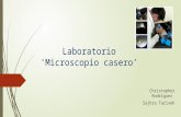 Microscopio en laboratorio de Histología