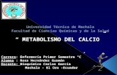 Metabolismo calcio