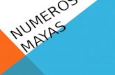 Numeros mayas