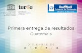 Primera entrega de resultados del TERCE -Guatemala