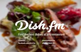 Dish.fm presentation