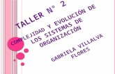 Taller n 2_complejidad_y_evolucion_de_los_sistemas_de_organizacion