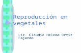 3 reproducción en vegetales dipositivas