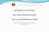 Sector agropecuario julio a diciembre 2009